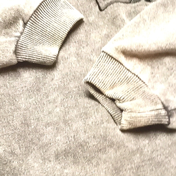 EUC Fuzzy Stonewash totem sweatshirt - Picture 5 of 5